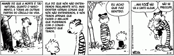 Calvin & Haroldo